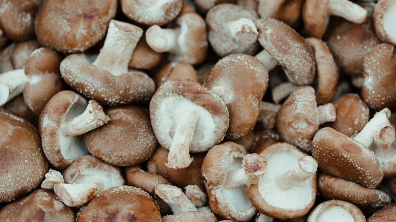 しいたけの茹で時間は何分?食感を楽しむ下ごしらえとゆで方のコツ